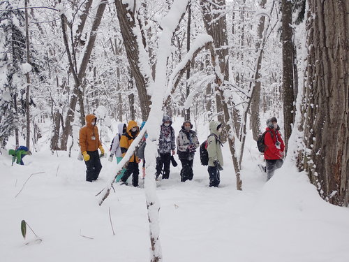 スノーシュートレッキングにて深い雪の中を歩く子供たちの様子