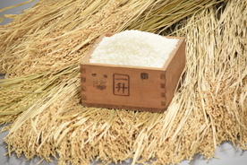 一升枡に入った米などの写真