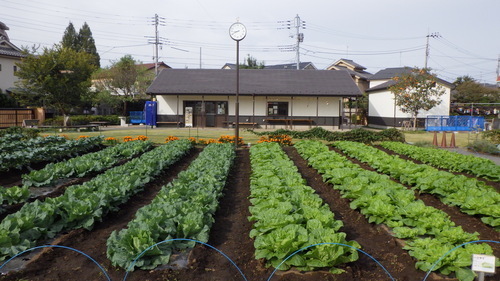 成田西ふれあい農業公園の写真
