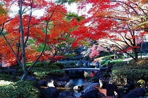 大田黒公園の写真