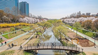 写真：そっちょくの風景