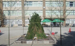 写真：どんど焼き