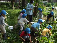 写真：区民農園で育てたお芋を収穫