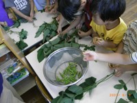 写真：園栽培枝豆を収穫