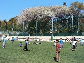 写真：芝生の校庭で思いきり遊んでいます