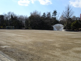 写真：蚕糸の森公園運動場