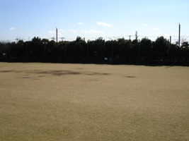 写真：井草森公園運動場