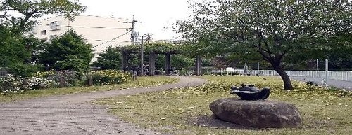 写真：弁天橋東緑地