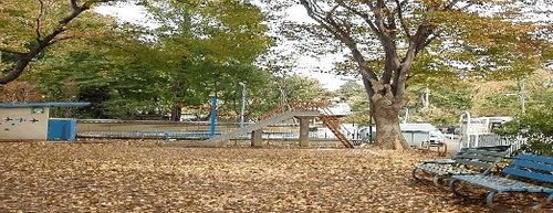 写真：観泉寺児童遊園