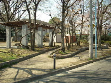 写真：ひまわり公園