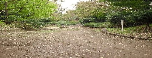 写真：玉川上水永泉寺緑地