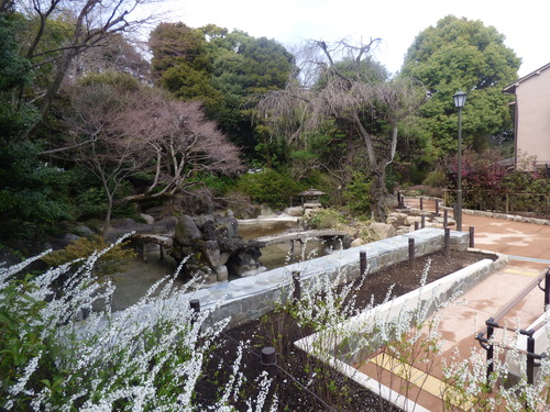 写真：大宮の杜緑地