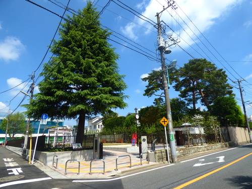 荻窪つどい公園の写真