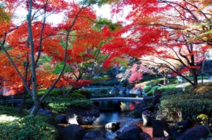 写真：大田黒公園