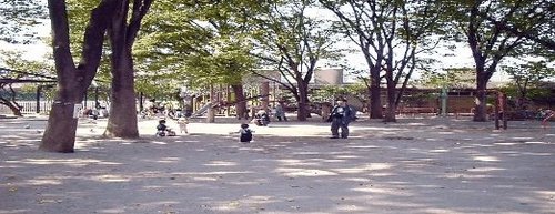 写真：関根文化公園