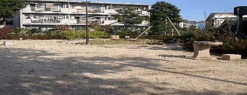 写真：下井草いど公園