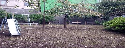 写真：永泉寺坂児童遊園