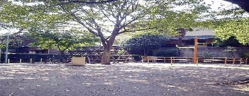 写真：松庵東公園