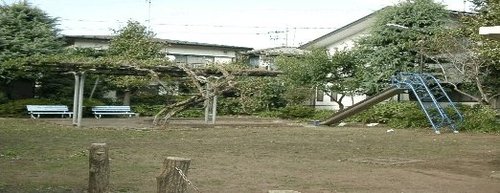 写真：善福寺西の山公園