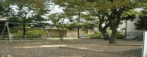 写真：善福寺中山公園