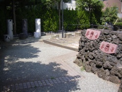 写真：善福寺さくら公園