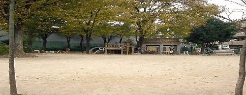 写真：和田公園