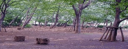 写真：宮前公園