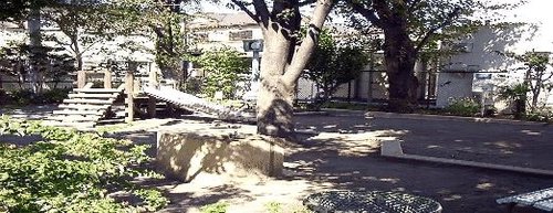 写真：浜田山西児童遊園