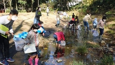 遅野井川親水施設イメージ写真　観察会