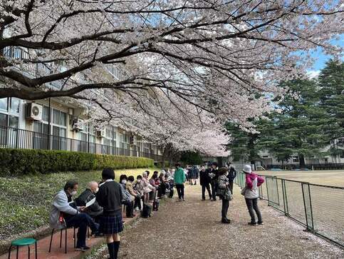 桜を楽しむ会の様子