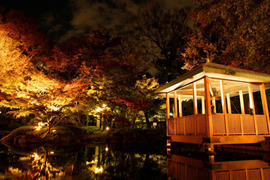 写真：大田黒公園