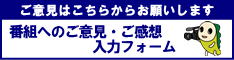 ご意見はこちらからお願いします。番組へのご意見・ご感想入力フォーム（外部リンク・新しいウインドウで開きます）