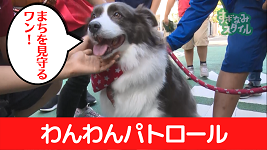 パトロール中の犬の画像