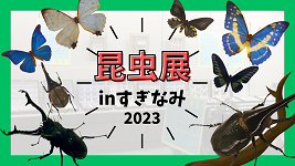 8月1日号のサムネイル画像