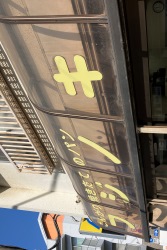 フジノキ