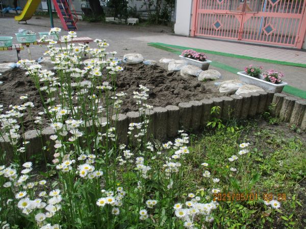 花壇