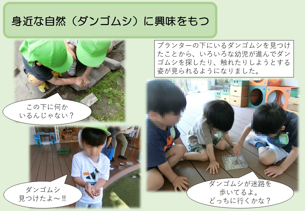 5月4歳児。身近な自然(ダンゴムシ)に興味をもつ