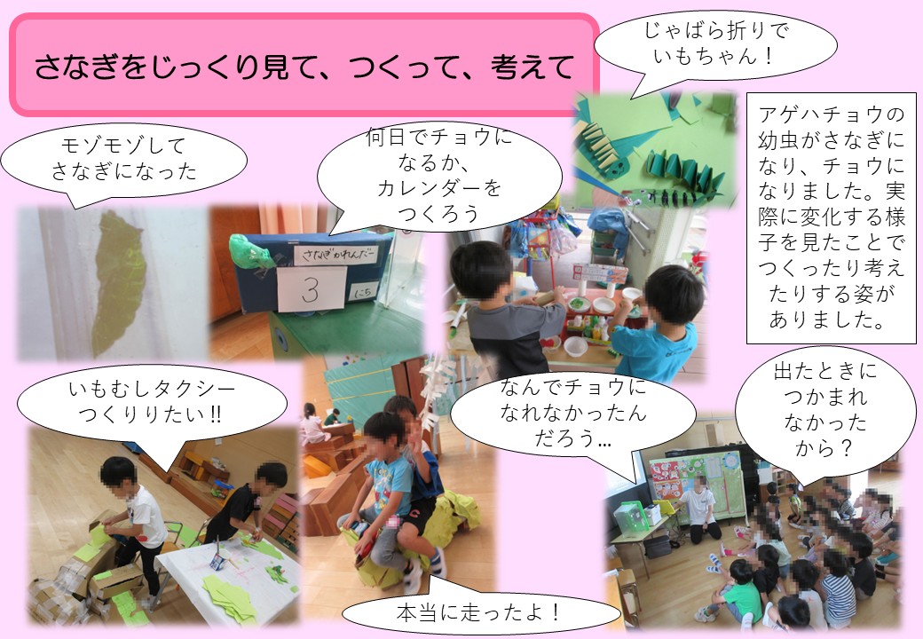 6月5歳児。さなぎをじっくり見て、つくって、考えて