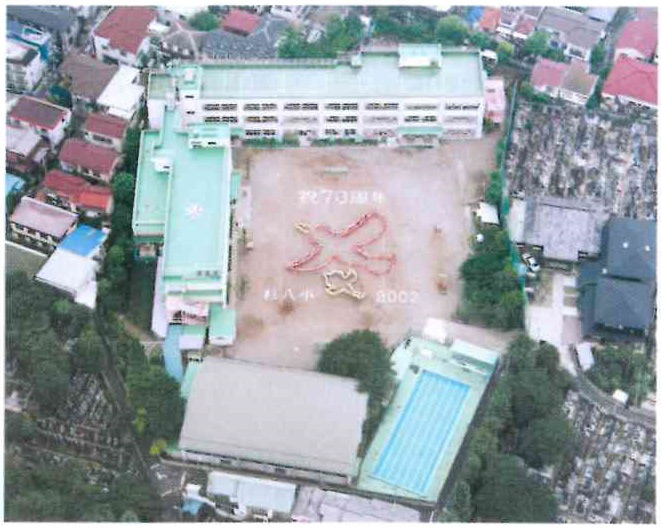 航空写真