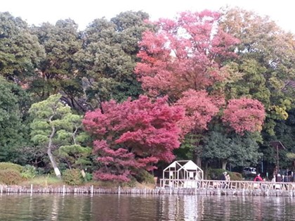 ボートからの紅葉風景