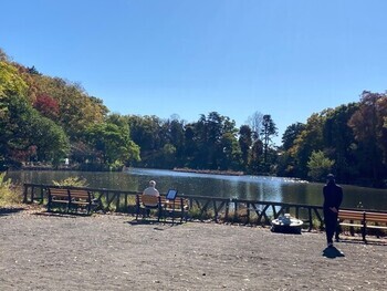 池のほとりの紅葉の写真