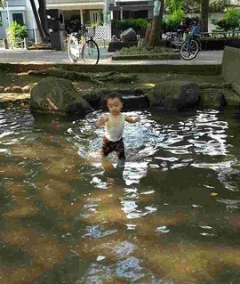 梅里中央公園下流の写真