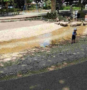 馬橋公園の写真