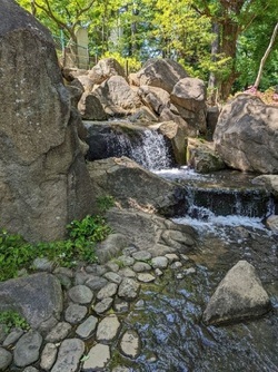 蚕糸の森公園上流の写真