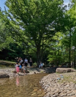 蚕糸の森公園下流の写真