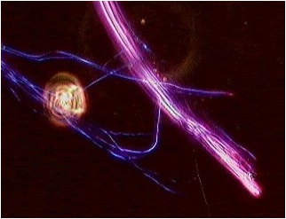 写真：アスベストの顕微鏡写真