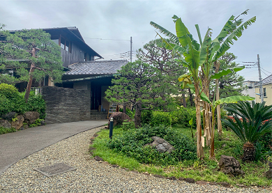 角川庭園入口バショウ