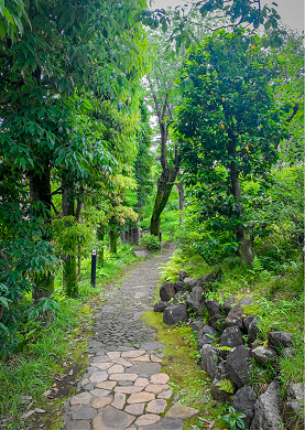 角川庭園みどりの園路