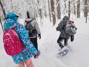 スノーシュートレッキングをする児童の様子